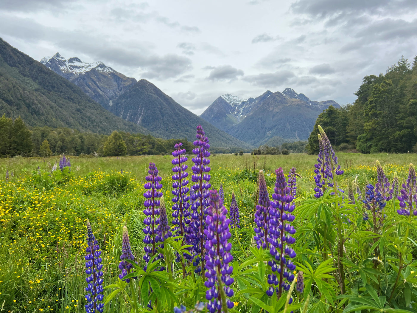 Freedom Camping in Wild New Zealand