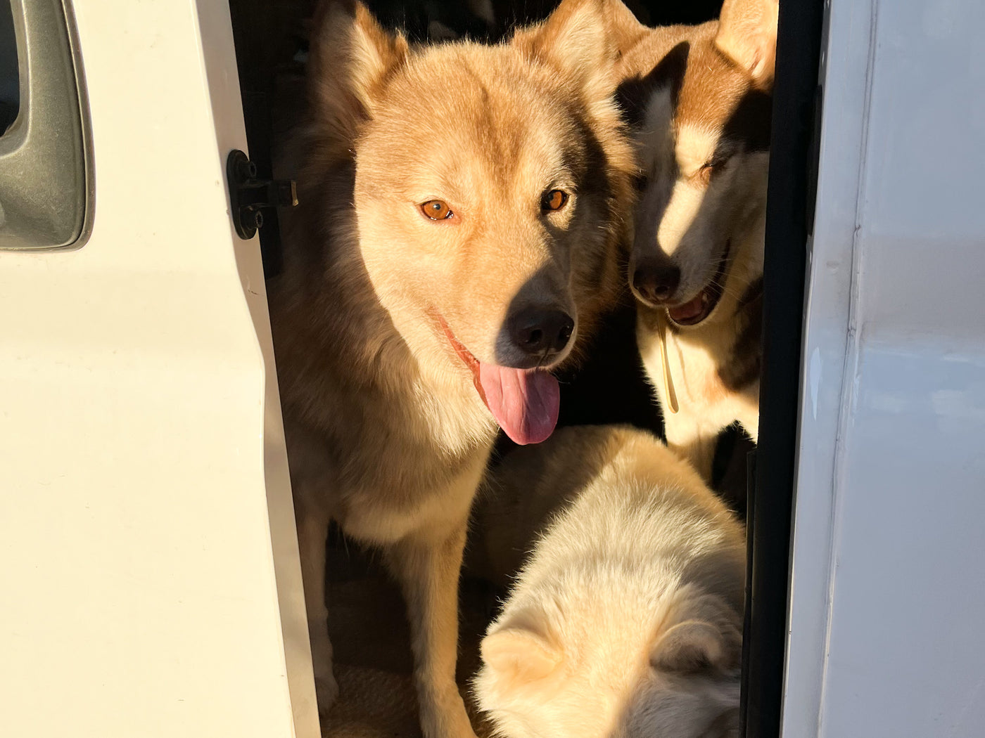 Adventure Series: South, Southwest and PNW