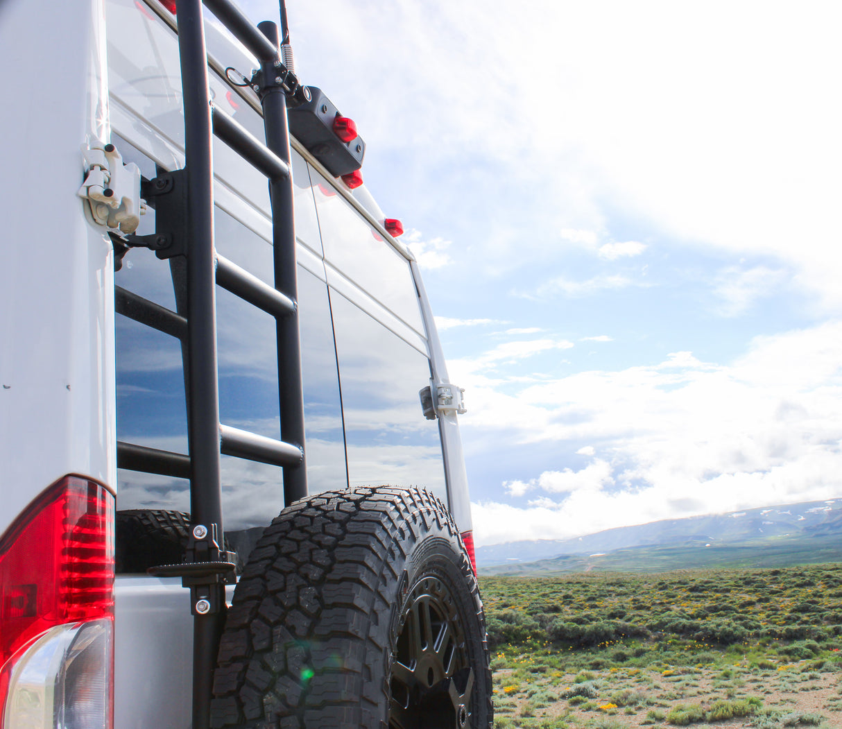 Aluminess 2014+ Ram ProMaster Rear Door Ladder