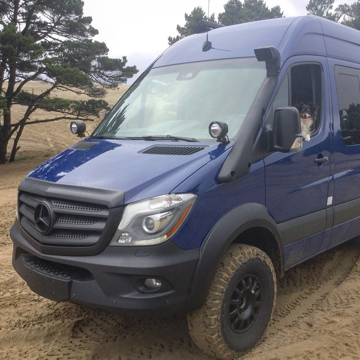 Terrawagen 4x4 BIG Fender Flare Kit Sprinter 906