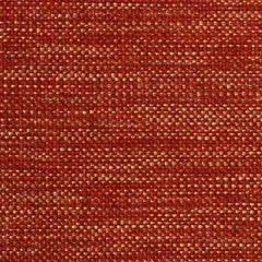 Nassimi Minetta 54" Polyester Fabric