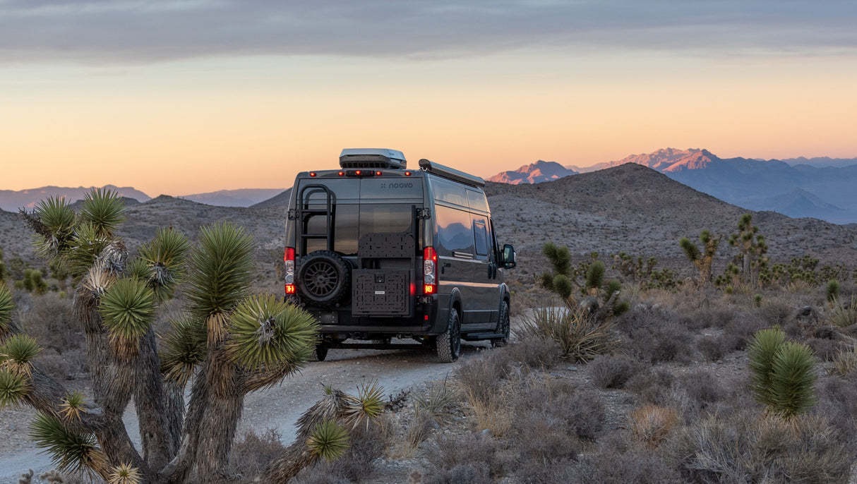 Rover Vans 2014+ RAM ProMaster Tire/ Ladder Carrier Combo