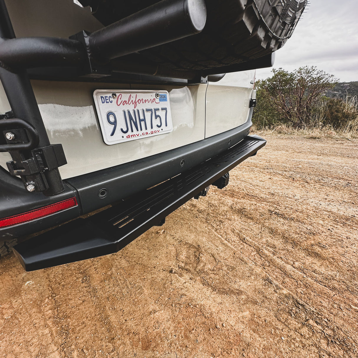 Aluminess 2019+ Mercedes Sprinter Rear Door Recon Nerf Step