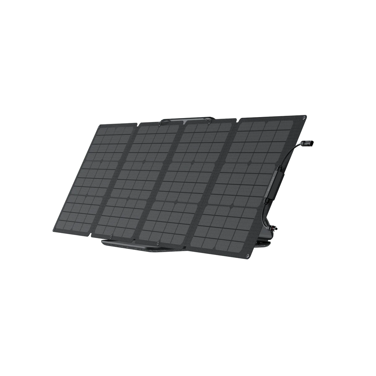 EcoFlow 1kWh DELTA 2 + 800W Alternator Charger + 110W Portable Solar Panel
