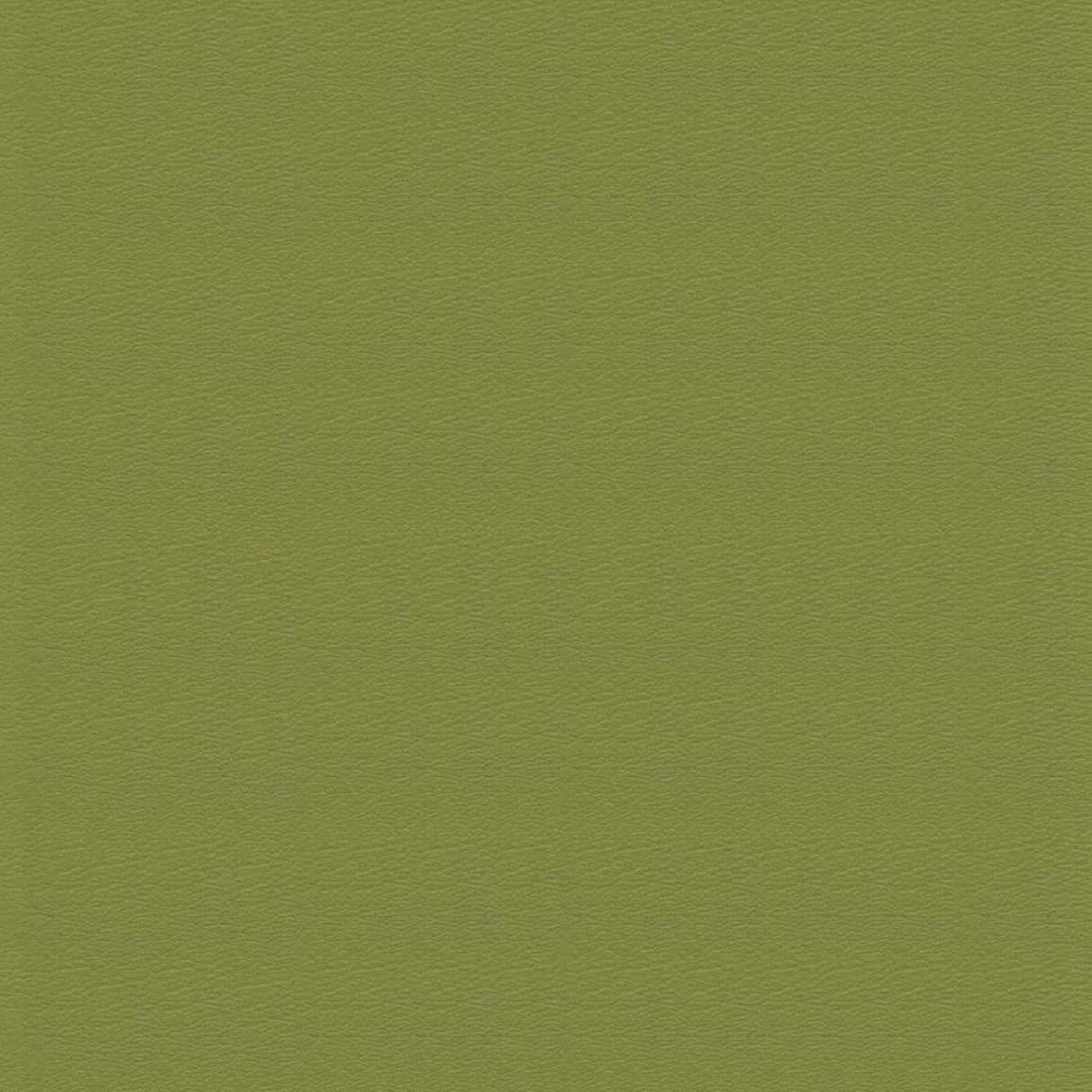 Sileather Smooth Series (Classic Smooth-249 Pear) - Campervan HQ