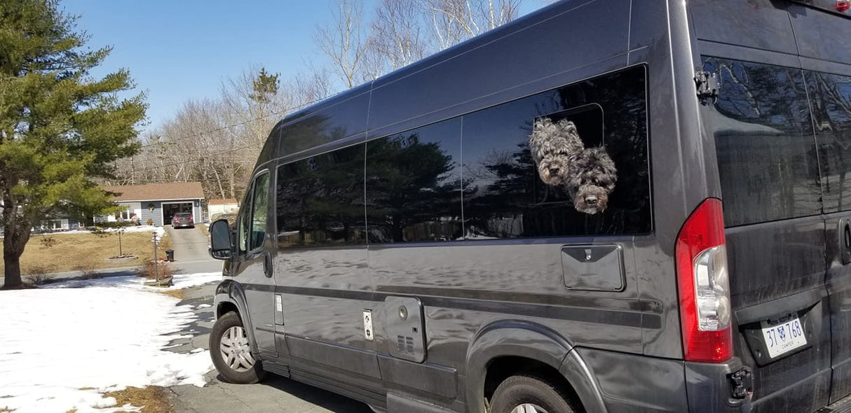 AM Auto Ram ProMaster Driver Side Rear Quarter Half-Slider Window 159”EXT (PB07-L3XL-HSS P)_ Screened / Open - Campervan HQ