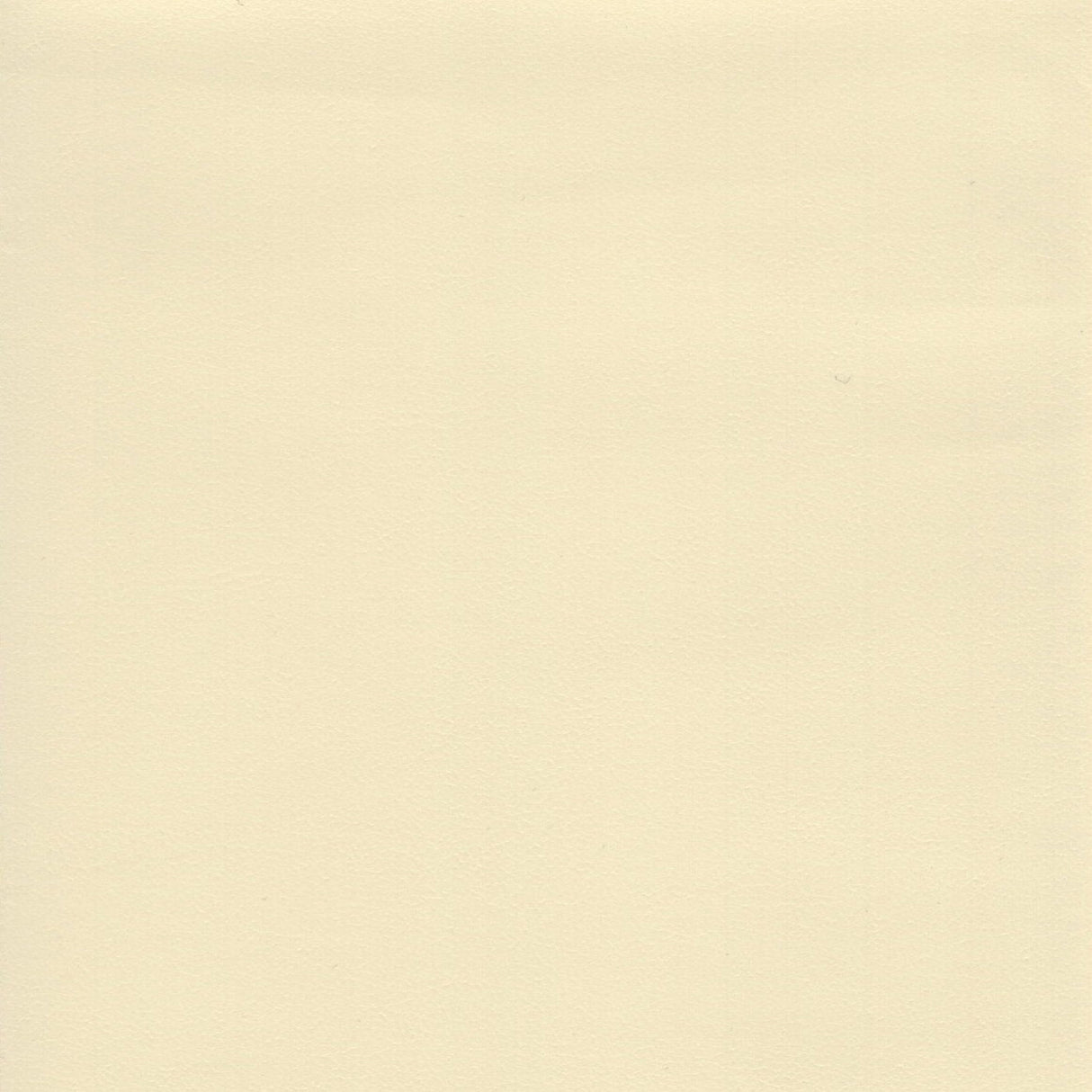 Sileather Smooth Series (Theory-300 Ivory) - Campervan HQ