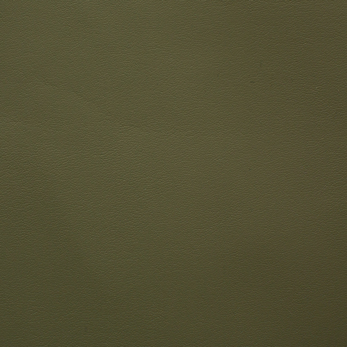 Sileather Smooth Series (Theory-483 Basil) - Campervan HQ