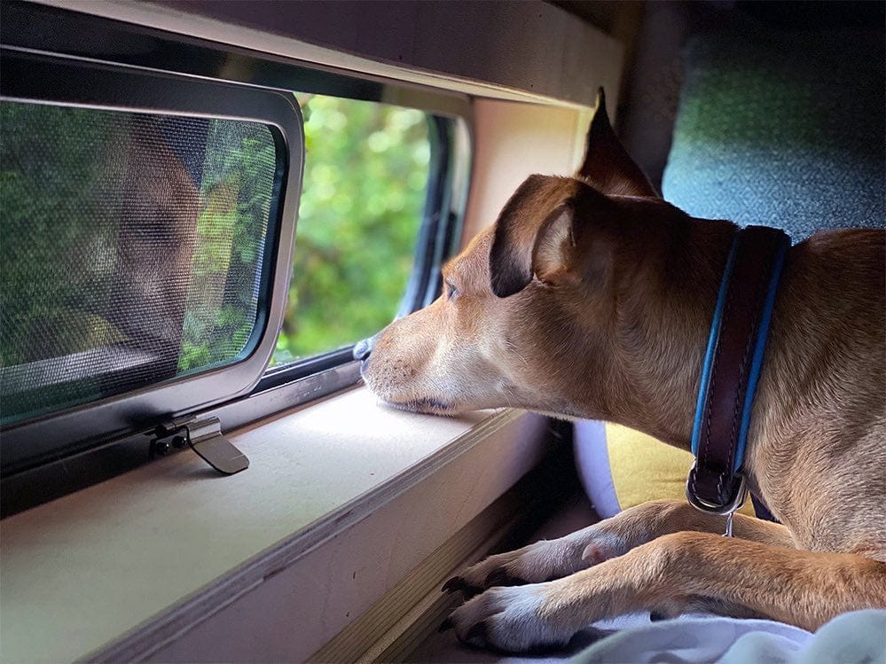 Universal-Fit Driver Side Half-Slider Screened Window (9.4"H x 30.7"W)_Screen - Campervan HQ