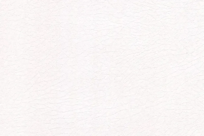 Vaquero Automotive Vinyl (Whitest_White) - Campervan HQ