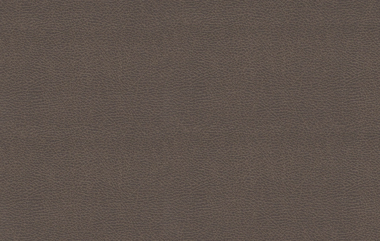 Sileather Mustang Series (834 Earth) - Campervan HQ