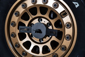 Rover Vans 2014+ RAM ProMaster Tire/ Ladder Carrier Combo