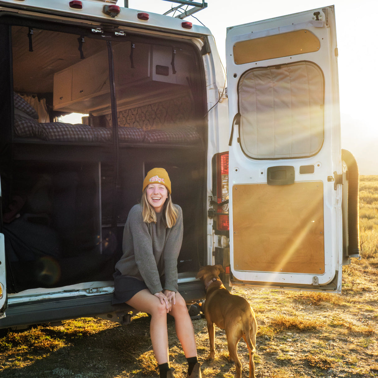 VanEssential Ram Promaster Bug Screen - Rear Door
