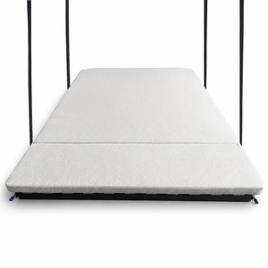 Tec Vanlife / RoamlabX Camper Van Expandable Elevator Bed