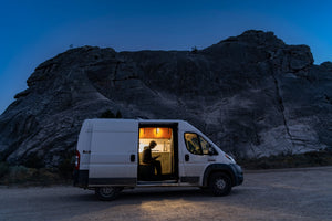 VanEssential Ram Promaster Bug Screen - Sliding Door
