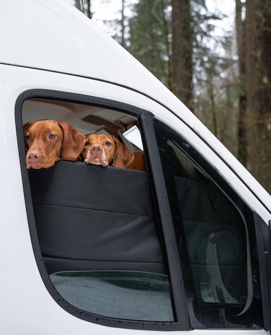 VanEssential Ram Promaster Stealth Front Door Window Covers (Pair)