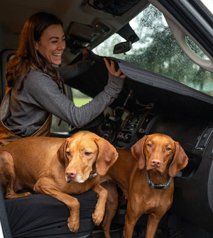 VanEssential Ram Promaster Stealth Front Windshield Cover