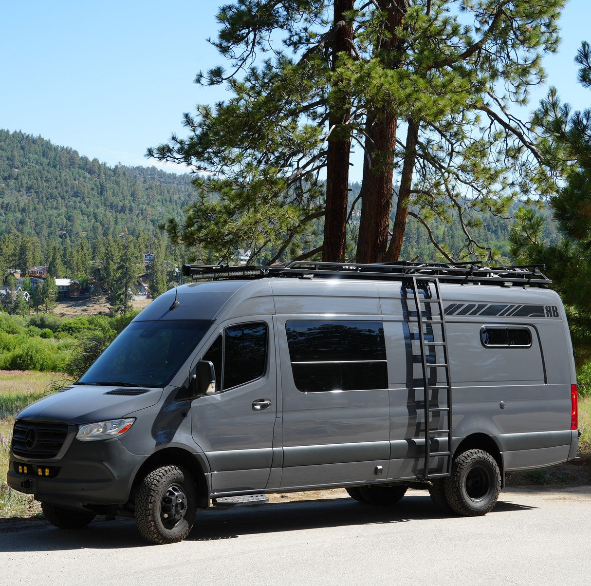 RB Components 2007+ Sprinter Van Side Ladder