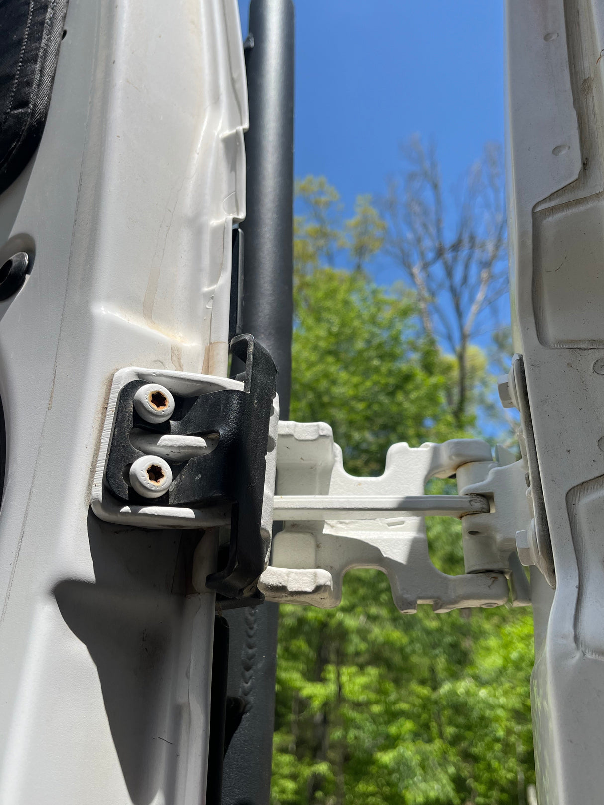 Aluminess 2014+ Ram ProMaster Rear Door Ladder
