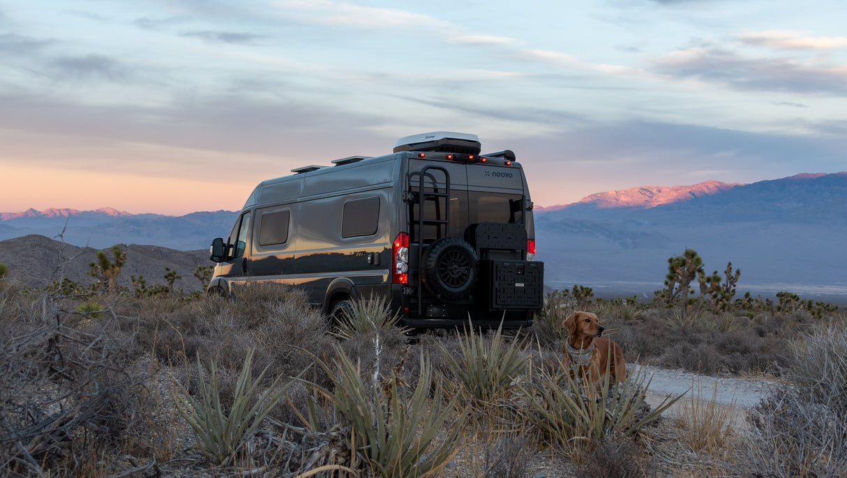 Rover Vans 2014+ RAM ProMaster Tire/ Ladder Carrier Combo