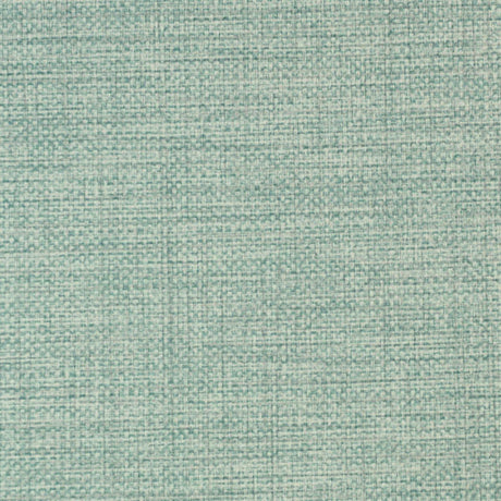 Nassimi Twist 54" PVC Fabric