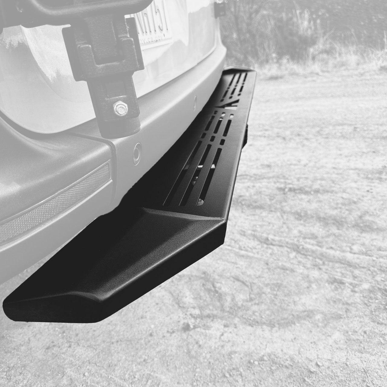 Aluminess 2019+ Mercedes Sprinter Rear Door Recon Nerf Step