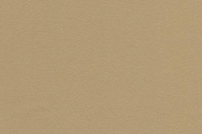 Vaquero Automotive Vinyl (Chaparral) - Campervan HQ