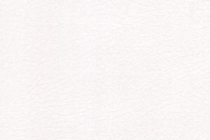Vaquero Automotive Vinyl (Whitest_White) - Campervan HQ